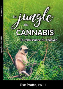 jungle du cannabis