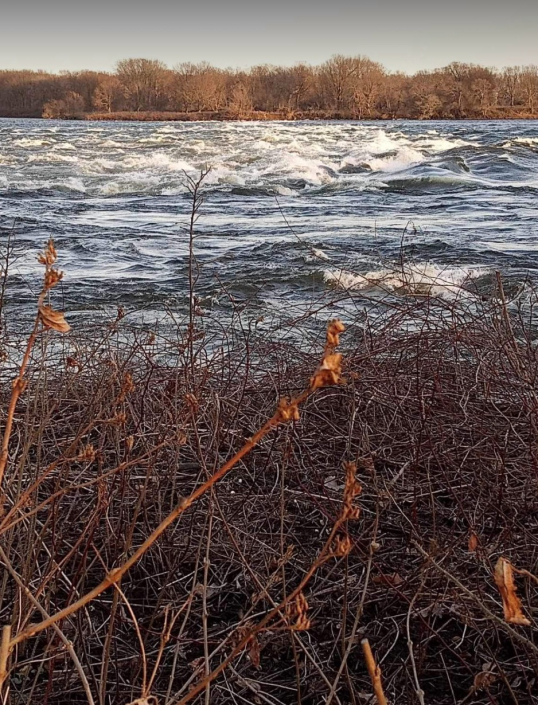 parc des rapides marches mercredis